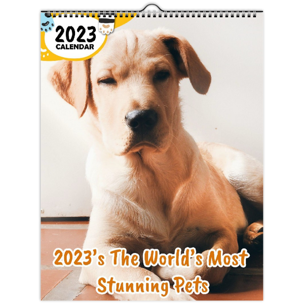 2023's The World's Most Stunning Pets: 2023 Wall Calendar
