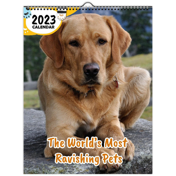 The World's Most Ravishing Pets: 2023 Wall Calendar