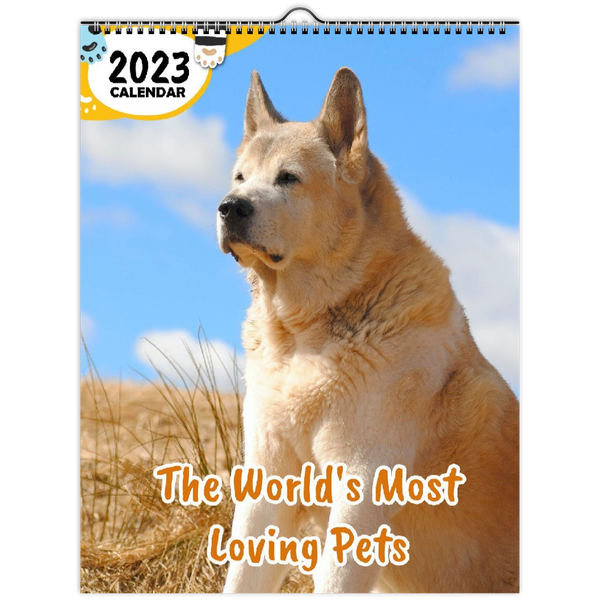 The World's Most Loving Pets: 2023 Wall Calendar