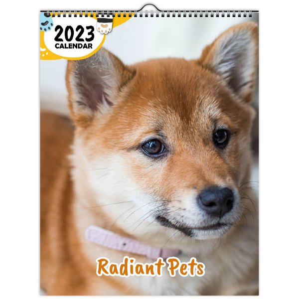 Radiant Pets: 2023 Wall Calendar