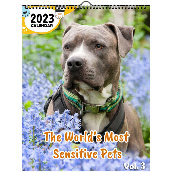 The World's Most Sensitive Pets Volume Three: 2023 Wall Calendar