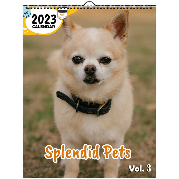Splendid Pets Volume Three: 2023 Wall Calendar