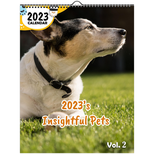 2023's Insightful Pets Volume Two: 2023 Wall Calendar