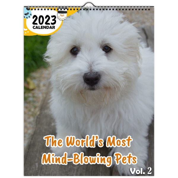 The World's Most Mind-Blowing Pets Volume Two: 2023 Wall Calendar
