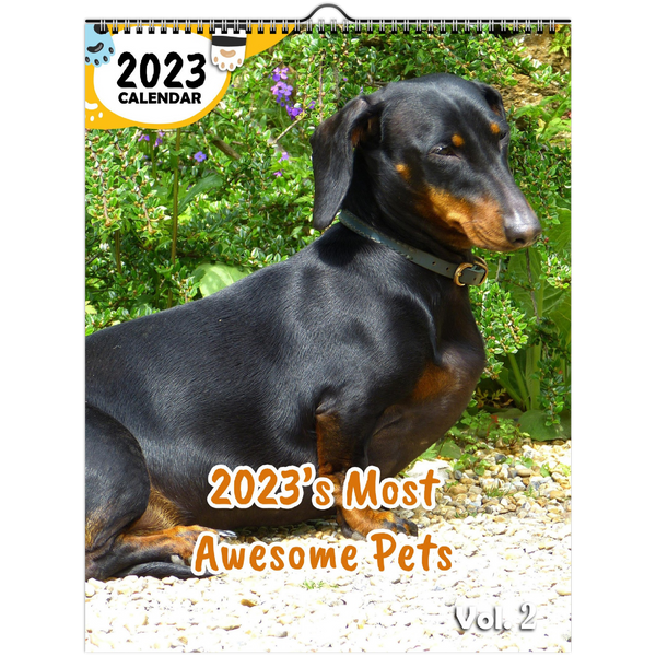 2023's Most Awesome Pets Volume Two: 2023 Wall Calendar