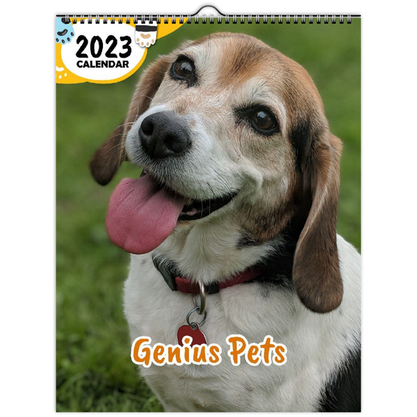 Genius Pets: 2023 Wall Calendar