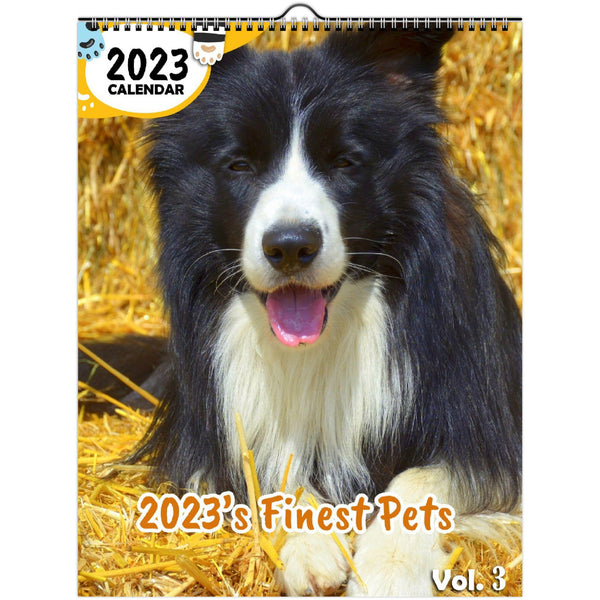 2023's Finest Pets Volume Three: 2023 Wall Calendar