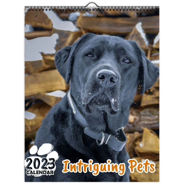 Intriguing Pets: 2023 Wall Calendar