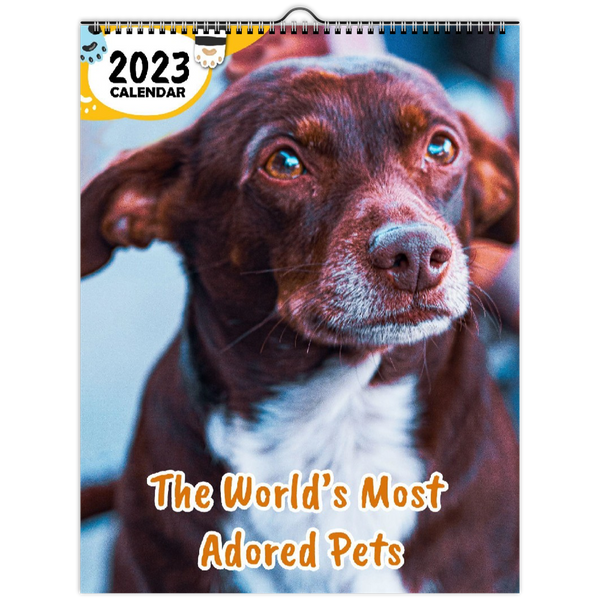 The World's Most Adored Pets: 2023 Wall Calendar