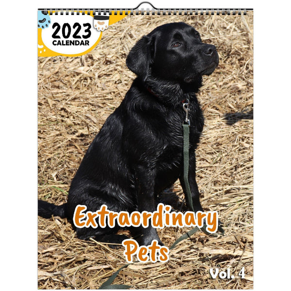 Extraordinary Pets Volume Four: 2023 Wall Calendar