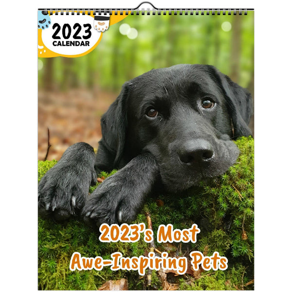 2023's Most Awe-Inspiring Pets: 2023 Wall Calendar