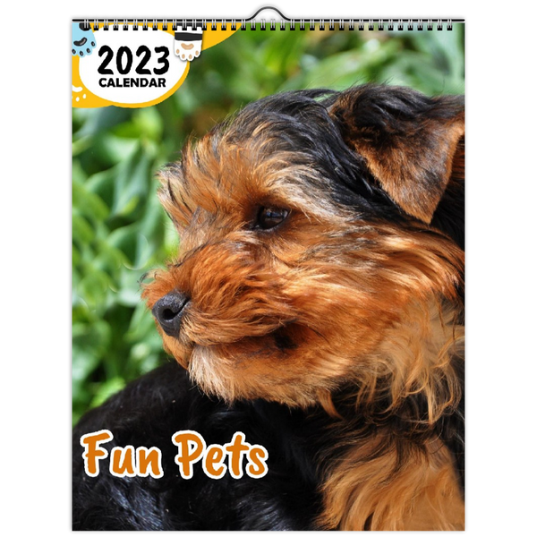 Fun Pets: 2023 Wall Calendar