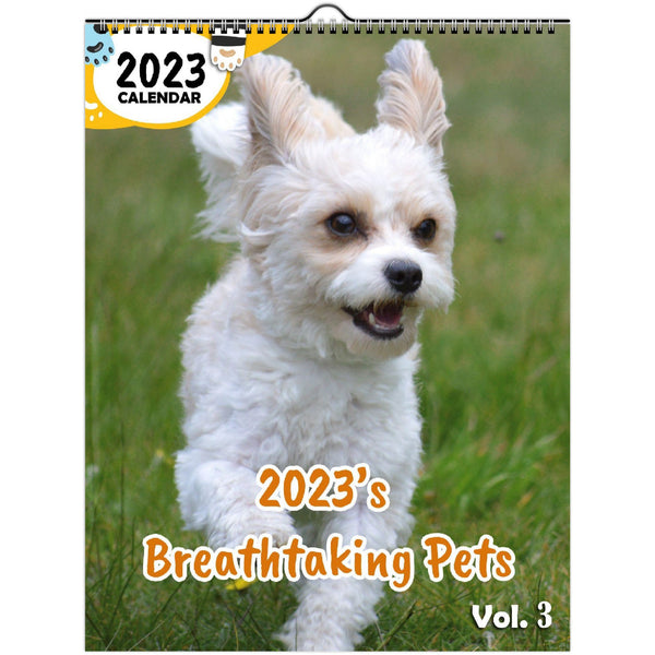 2023's Breathtaking Pets Volume Three: 2023 Wall Calendar