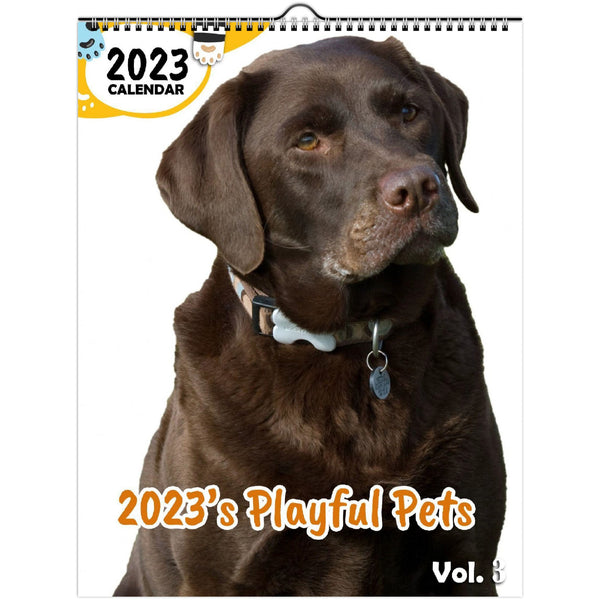 2023's Playful Pets Volume Three: 2023 Wall Calendar
