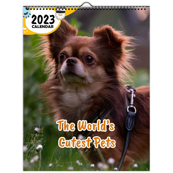The World's Cutest Pets: 2023 Wall Calendar
