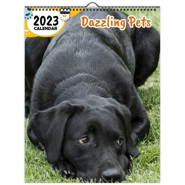Dazzling Pets: 2023 Wall Calendar