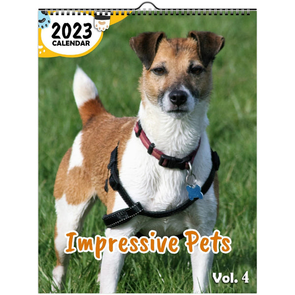 Impressive Pets Volume Four: 2023 Wall Calendar