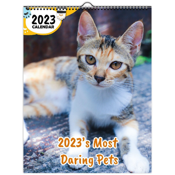 2023's Most Daring Pets: 2023 Wall Calendar