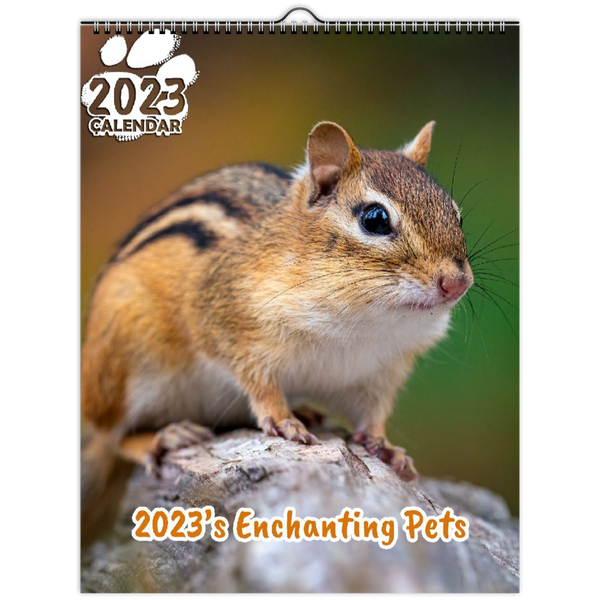 2023's Enchanting Pets: 2023 Wall Calendar