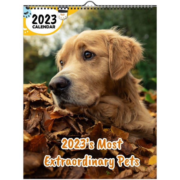 2023's Most Extraordinary Pets: 2023 Wall Calendar