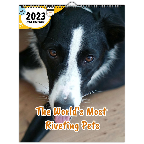 The World's Most Riveting Pets: 2023 Wall Calendar