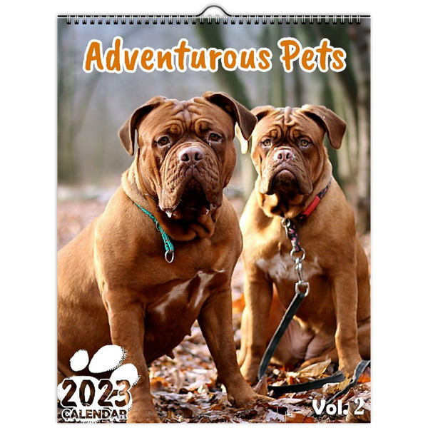 Adventurous Pets Volume Two: 2023 Wall Calendar