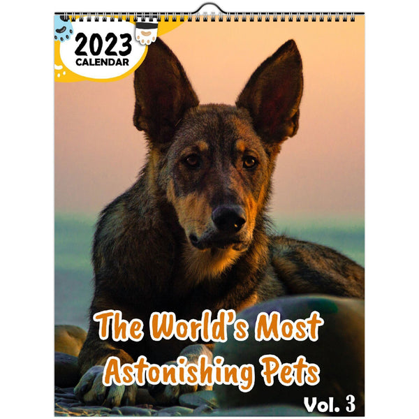 The World's Most Astonishing Pets Volume Three: 2023 Wall Calendar