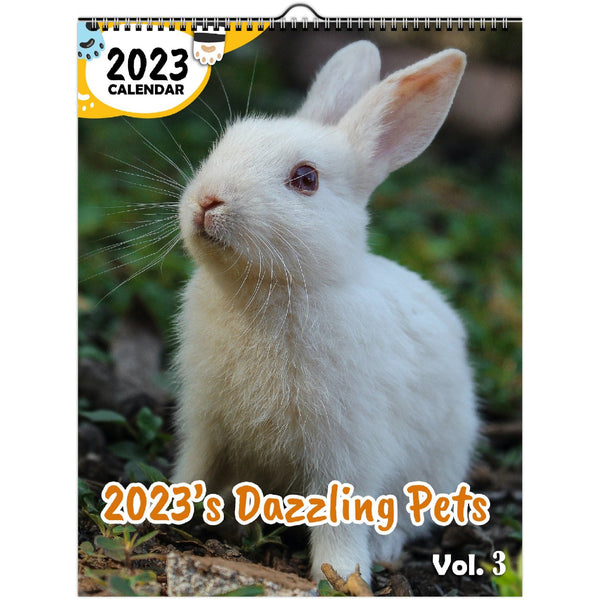 2023's Dazzling Pets Volume Three: 2023 Wall Calendar