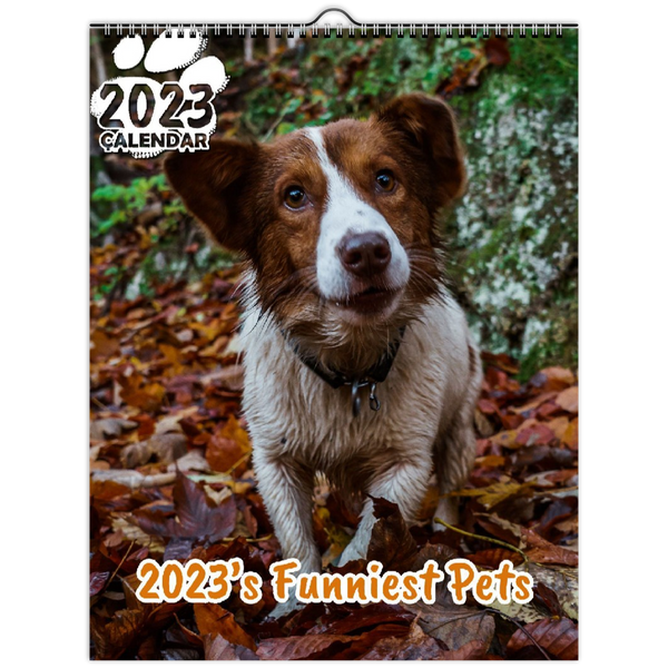 2023's Funniest Pets: 2023 Wall Calendar