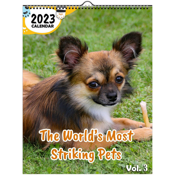 The World's Most Striking Pets Volume Three: 2023 Wall Calendar