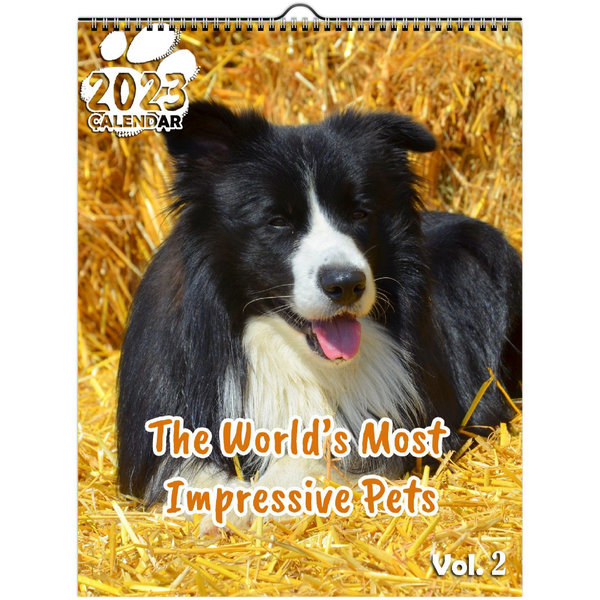 The World's Most Impressive Pets Volume Two: 2023 Wall Calendar