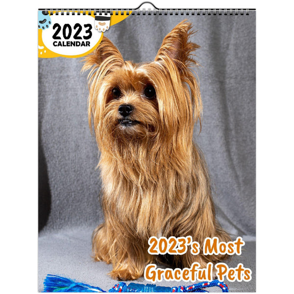 2023's Most Graceful Pets: 2023 Wall Calendar