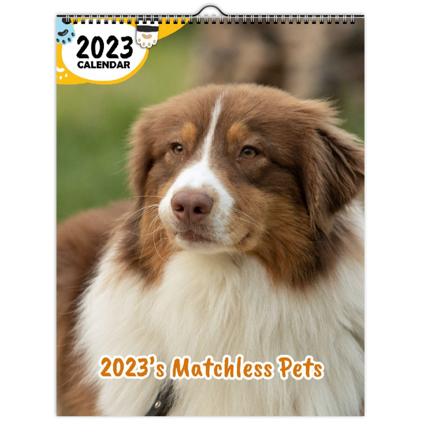 2023's Matchless Pets: 2023 Wall Calendar