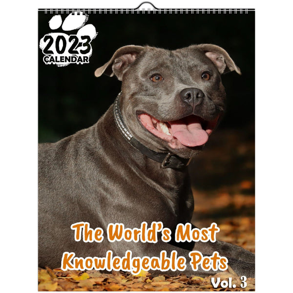 The World's Most Knowledgeable Pets Volume Three: 2023 Wall Calendar