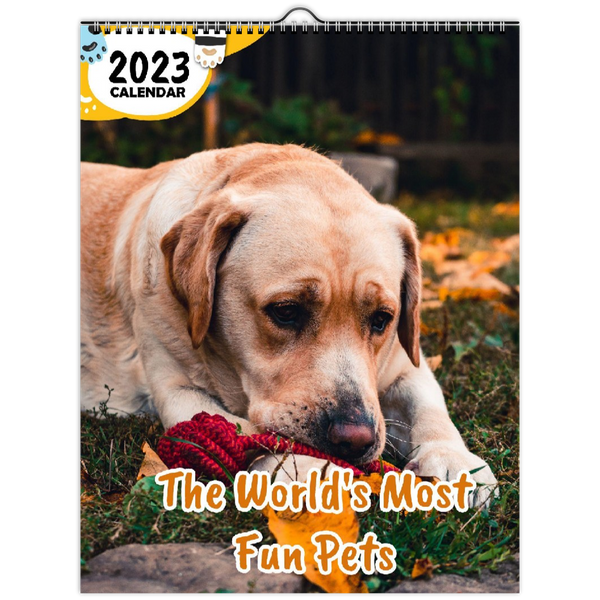 The World's Most Fun Pets: 2023 Wall Calendar
