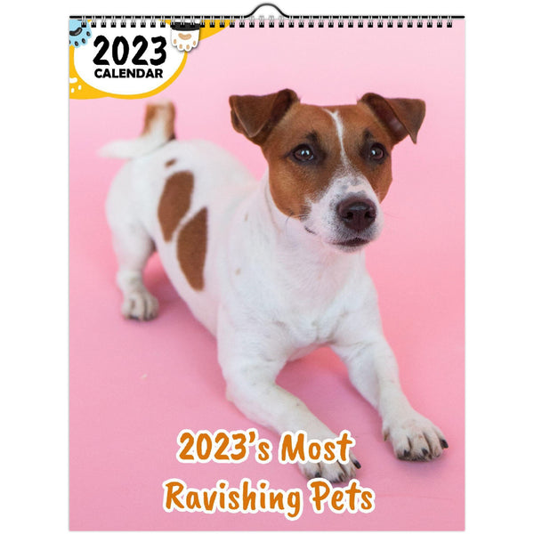 2023's Most Ravishing Pets: 2023 Wall Calendar