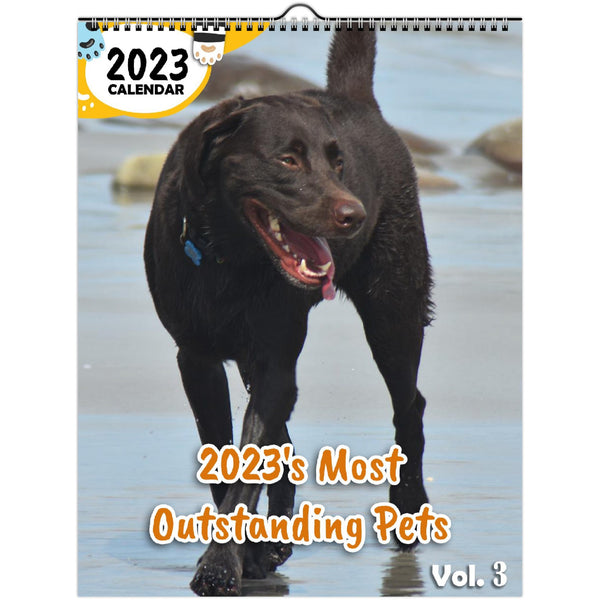 2023's Most Outstanding Pets Volume Three: 2023 Wall Calendar