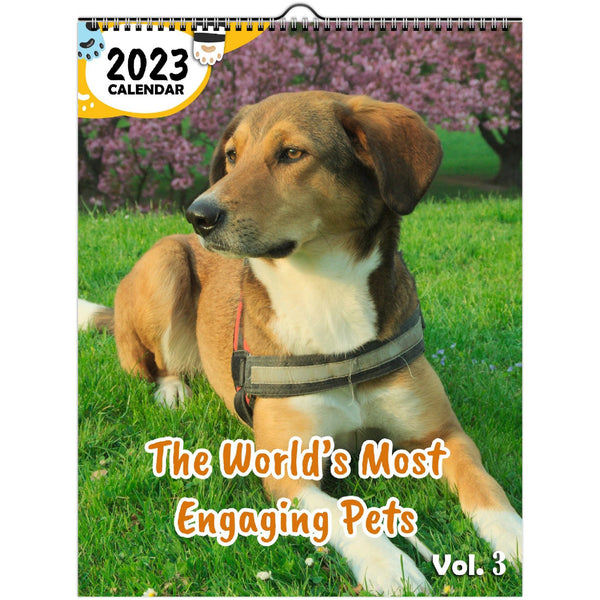 The World's Most Engaging Pets Volume Three: 2023 Wall Calendar