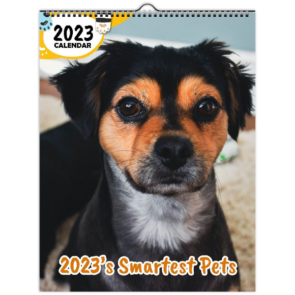 2023's Smartest Pets: 2023 Wall Calendar