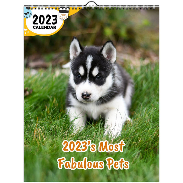 2023's Most Fabulous Pets: 2023 Wall Calendar