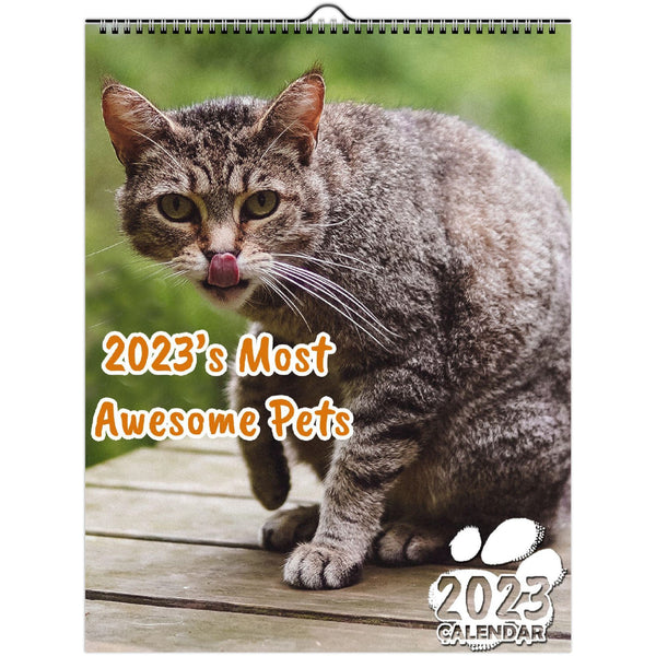 2023's Most Awesome Pets: 2023 Wall Calendar