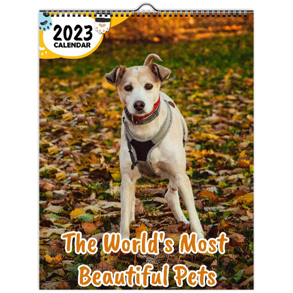 The World's Most Beautiful Pets: 2023 Wall Calendar