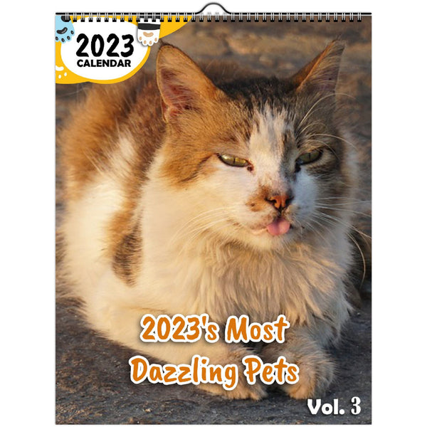 2023's Most Dazzling Pets Volume Three: 2023 Wall Calendar