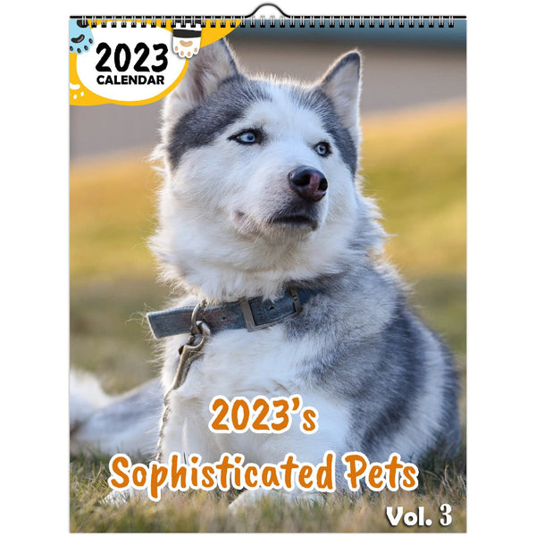 2023's Sophisticated Pets Volume Three: 2023 Wall Calendar