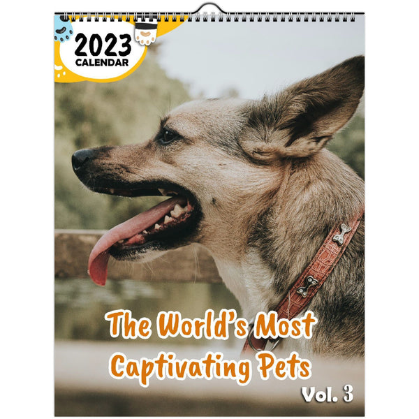 The World's Most Captivating Pets Volume Three: 2023 Wall Calendar