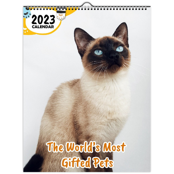 The World's Most Gifted Pets: 2023 Wall Calendar