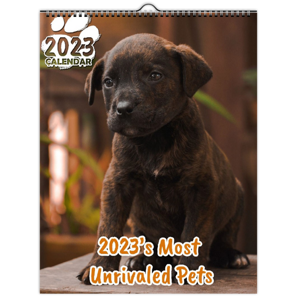 2023's Most Unrivaled Pets: 2023 Wall Calendar