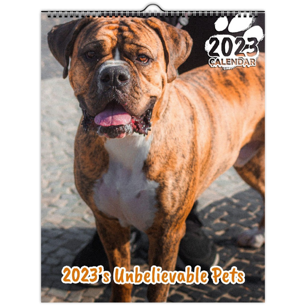 2023's Unbelievable Pets: 2023 Wall Calendar