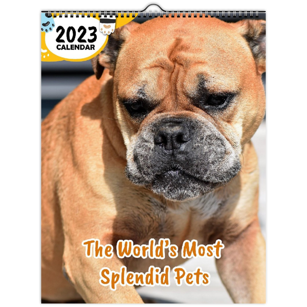 The World's Most Splendid Pets: 2023 Wall Calendar