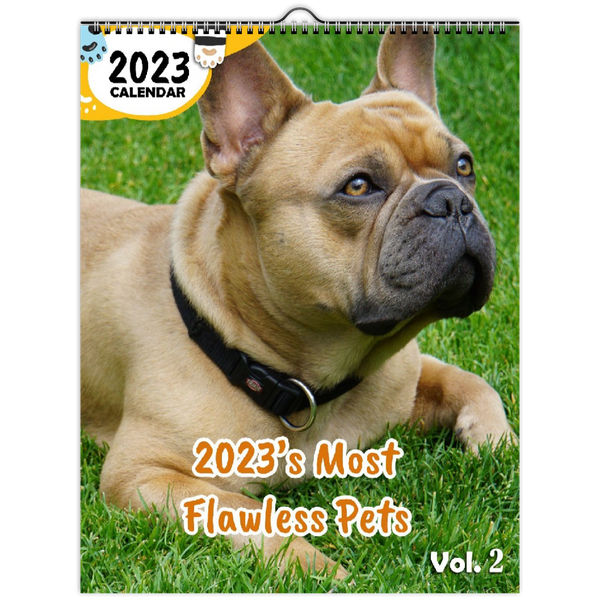 2023's Most Flawless Pets Volume Two: 2023 Wall Calendar